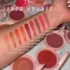 BLUSH-BUBBLE-SWATCHES-png.webp
