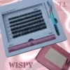 wispy-png.webp